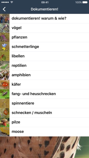 Naturbeobachten in Wien(圖3)-速報App