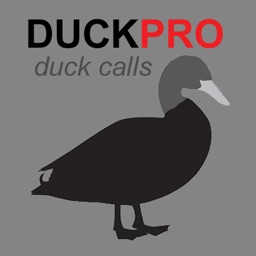 Duck Calls and Duck Sounds for Hunting Ducks