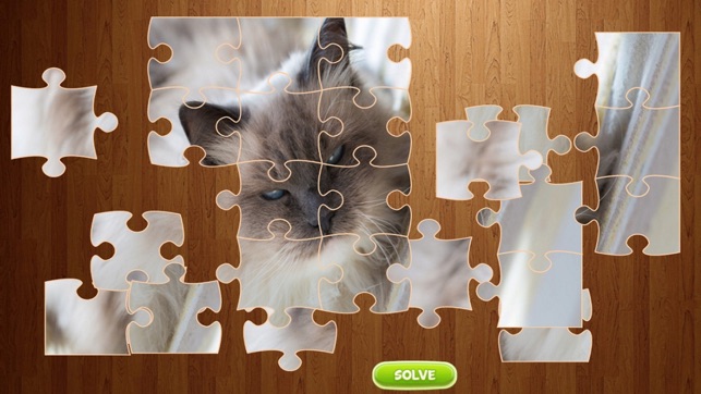 Cat Jigsaw Puzzle - Animal(圖1)-速報App