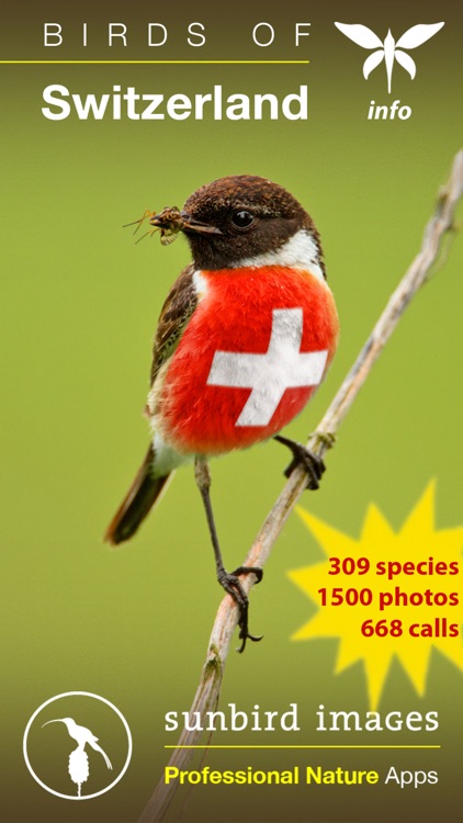 Birds of Switzerland - a field guide to identify the bird species native to Switzerland