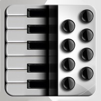 Accordion Piano Cassoto