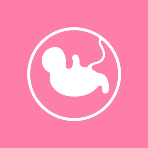 胎儿发育图
