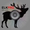 Elk Hunting Calls - With Bluetooth - Ad Free