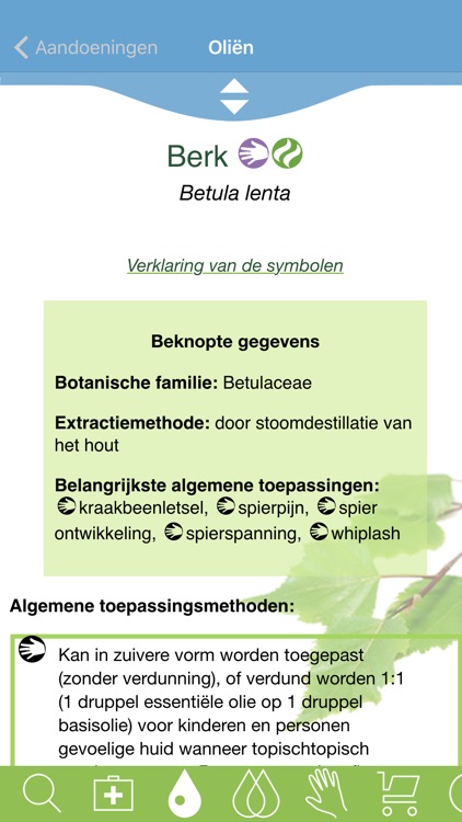 Modern Essentials Dutch