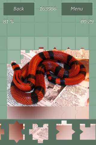 Snakes Amazing Puzzle screenshot 2