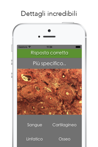Histology Worldwide Test Lite for iPhone screenshot 2