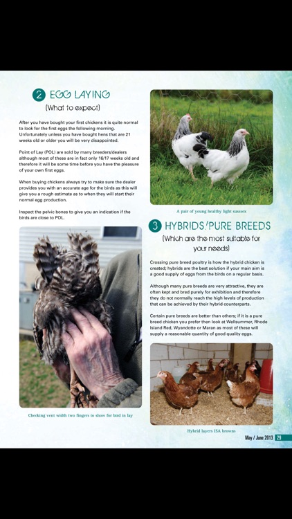 The Poultry Magazine