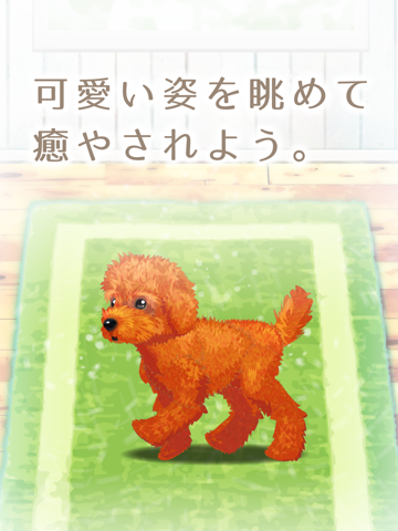 癒しの子犬育成ゲーム〜トイプードル編〜（無料）のおすすめ画像5