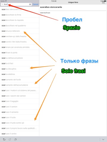 Русско <-> итальянский офлайн словарь LinguaVera-It-Ru-iPad screenshot 2