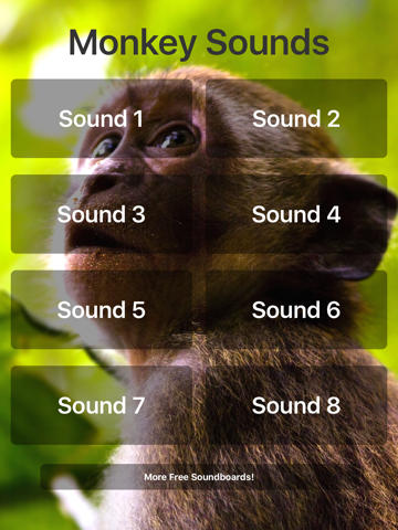 Monkey Sounds! - náhled