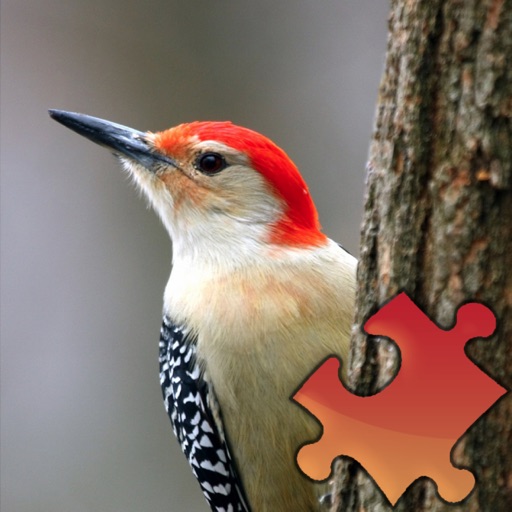 Woodpeckers Puzzles icon