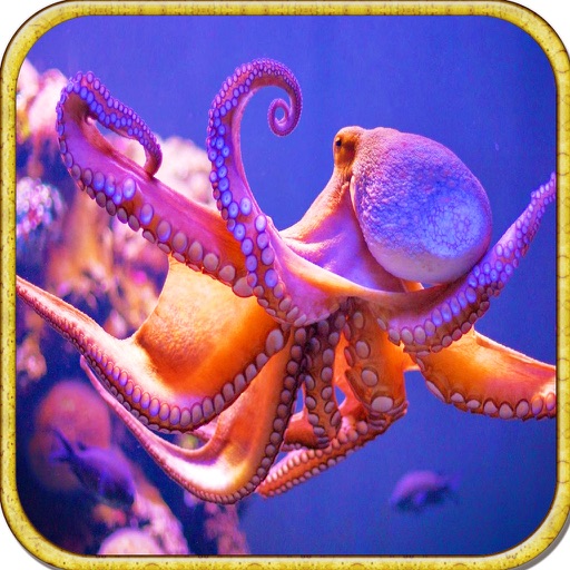 Underwater Octopus Sniper Shooting - 2016 Wild Deep Sea Octopus Hunting Adventure Icon