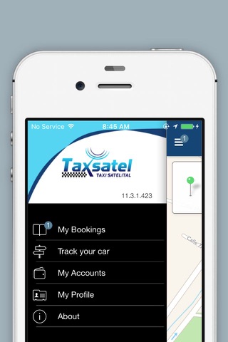 Taxsatel screenshot 4