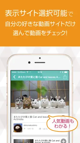 Game screenshot ねこ猫動画 - 猫の最新動画まとめ for YOUTUBE apk