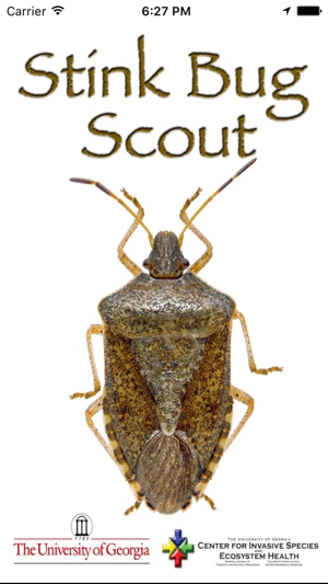 Stink Bug Scout