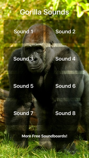 Gorilla Sounds