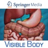 Digestive Anatomy Atlas 6 for Springer