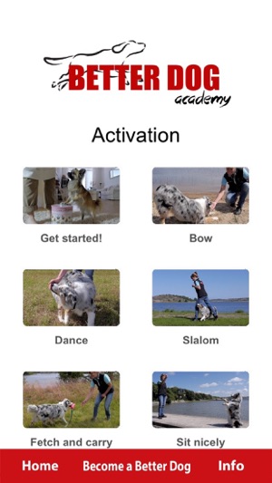 Better Dog Academy(圖5)-速報App