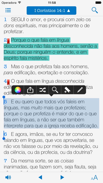Holy Bible Audio in Portuguese