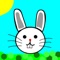 Hoppy Bunny!