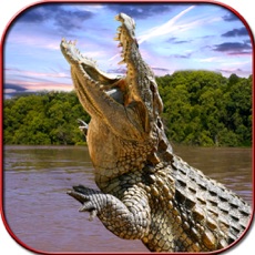 Activities of Crocodile Attack Simulator