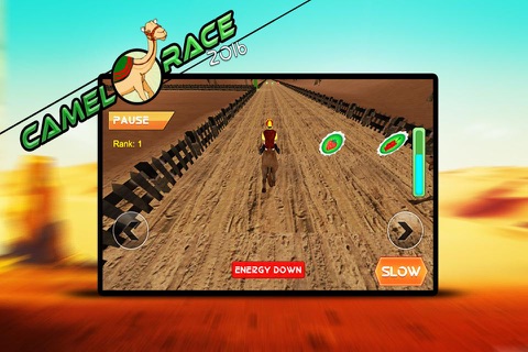 Camel race 2016 game screenshot 2