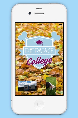PetPalace College screenshot 3