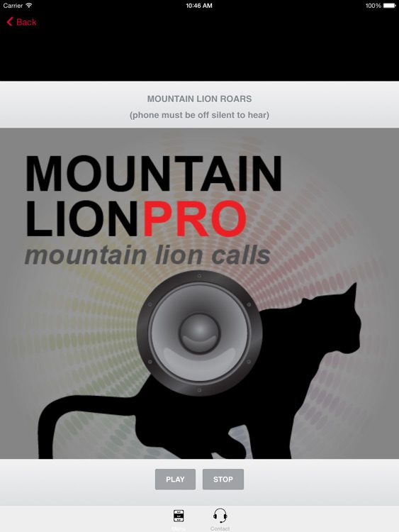 REAL Mountain Lion Calls - Mountain Lion Sounds