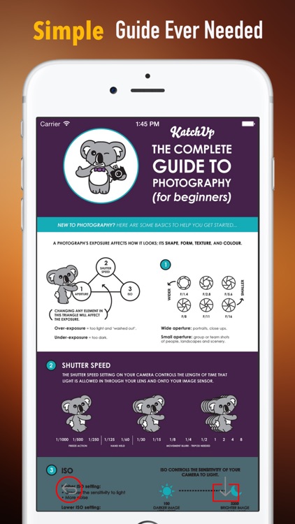 ISO Setting for  Beginners:Guide and Tips