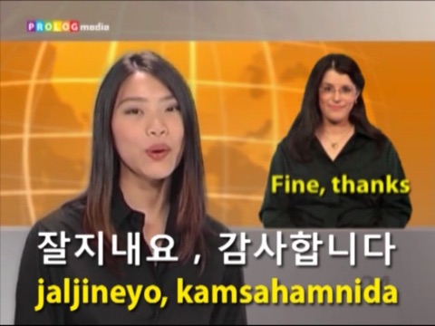 KOREAN - Speakit.tv (Video Course) (7X012VIMdl) screenshot 3