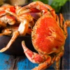 Crab Recipes - Learn How to Cook Crab