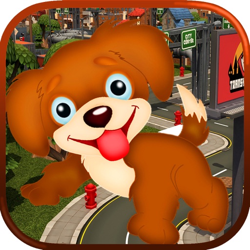 Puppy in City Traffic iOS App