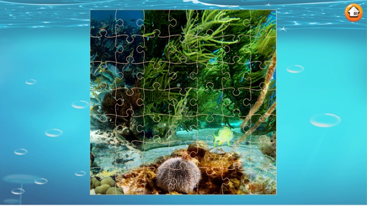 Finding Cute Fish And Sea Animal In The Cartoon Jigsaw Puzzle - Educational Solving Match Games For Kids screenshot-3
