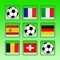Flag Puzzle Matching Card World Game For Free 2016