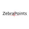 ZebraPoints Laser-Acupuncture