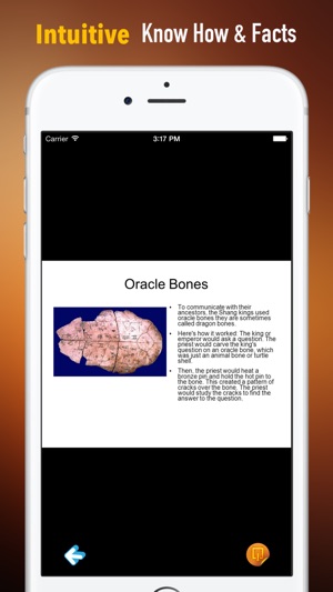 Oracle Bones:Guide with Glossary and Archeology(圖1)-速報App