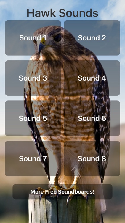 Hawk Sounds!