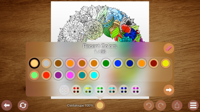 How to cancel & delete Colorful: Coloring for Adults from iphone & ipad 2