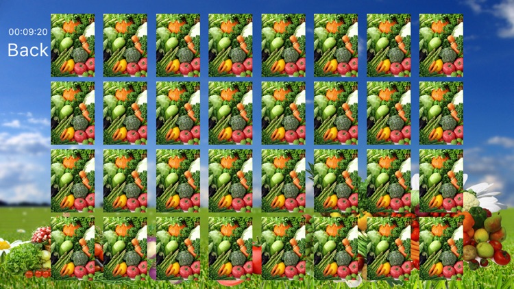 Vegetable World screenshot-3