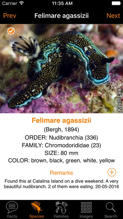 Nudibranch ID Eastern Pacific screenshot-3