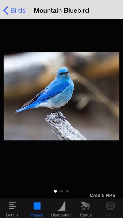 Rocky Mountain National Park Field Guide screenshot-3