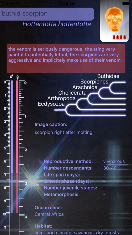 3D scorpions screenshot-3