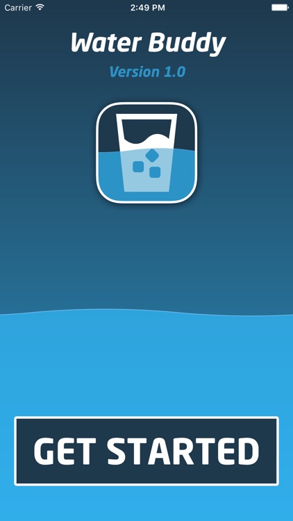 Water Buddy Pro™ - Drink Daily Water Intake Tracker and Drinking Reminder screenshot-4