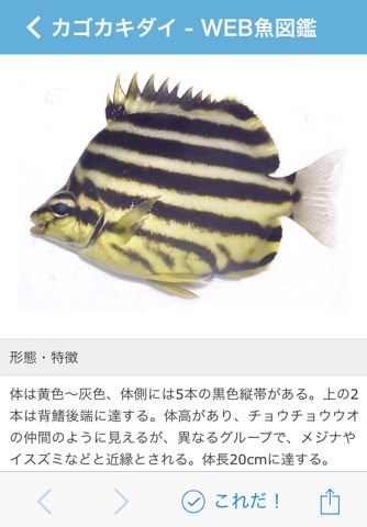 Mikke Fish ID screenshot 3