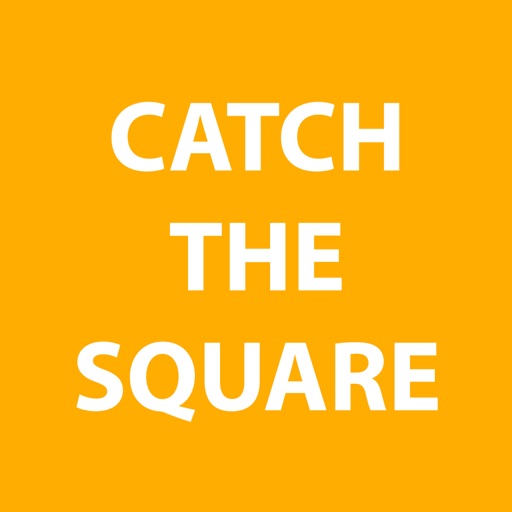 Catch The Square Icon