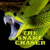 Snake Chaser