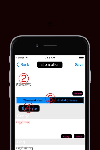 Chinese to Hindi Translation - Hindi to Chinese Language Translation and Dictionary screenshot 2