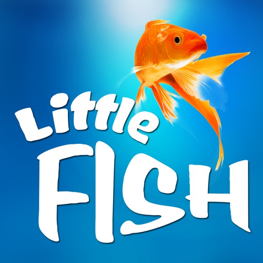 Bob little fish