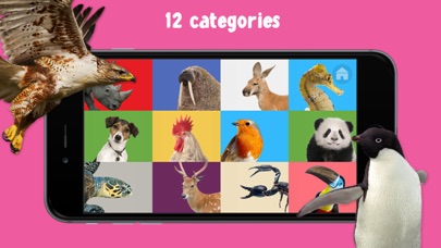 How to cancel & delete 100 Animal Words for Babies & Toddlers from iphone & ipad 4