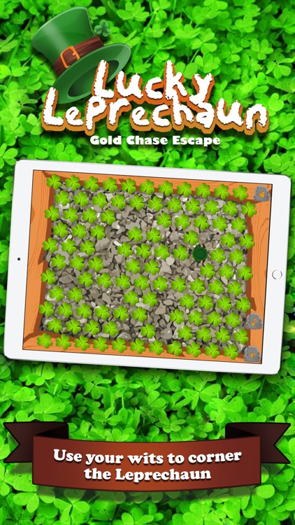 Lucky Leprechaun Gold Chase Escape